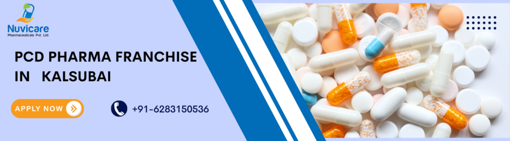 PCD Pharma Franchise in Kalsubai